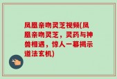 凤凰亲吻灵芝视频(凤凰亲吻灵芝，灵药与神兽相遇，惊人一幕揭示道法玄机)