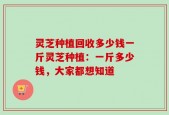 灵芝种植回收多少钱一斤灵芝种植：一斤多少钱，大家都想知道