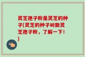 灵芝孢子粉是灵芝的种子(灵芝的种子叫做灵芝孢子粉，了解一下！)