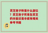 灵芝孢子粉是什么部位？灵芝孢子究竟在灵芝的伞面还是伞底有相关参考书籍