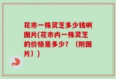花市一株灵芝多少钱啊图片(花市内一株灵芝的价格是多少？（附图片）)