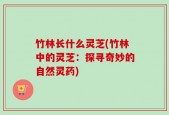 竹林长什么灵芝(竹林中的灵芝：探寻奇妙的自然灵药)