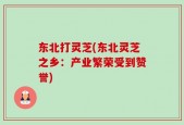 东北打灵芝(东北灵芝之乡：产业繁荣受到赞誉)