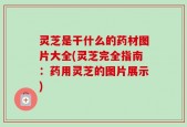 灵芝是干什么的药材图片大全(灵芝完全指南：药用灵芝的图片展示)