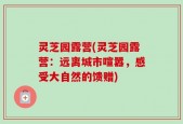 灵芝园露营(灵芝园露营：远离城市喧嚣，感受大自然的馈赠)