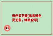 绿色灵芝壶(出售绿色灵芝壶，畅销全球)