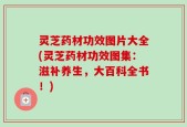 灵芝药材功效图片大全(灵芝药材功效图集：滋补养生，大百科全书！)