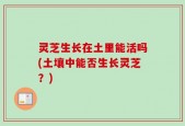 灵芝生长在土里能活吗(土壤中能否生长灵芝？)