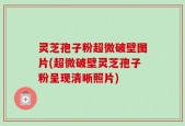 灵芝孢子粉超微破壁图片(超微破壁灵芝孢子粉呈现清晰照片)
