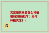 灵芝刚买来要怎么种植视频(视频教学：如何种植灵芝？)