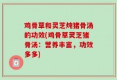 鸡骨草和灵芝炖猪骨汤的功效(鸡骨草灵芝猪骨汤：营养丰富，功效多多)
