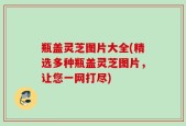 瓶盖灵芝图片大全(精选多种瓶盖灵芝图片，让您一网打尽)