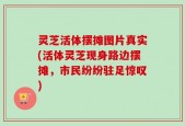 灵芝活体摆摊图片真实(活体灵芝现身路边摆摊，市民纷纷驻足惊叹)