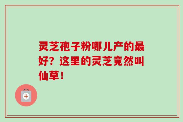 灵芝孢子粉哪儿产的最好？这里的灵芝竟然叫仙草！