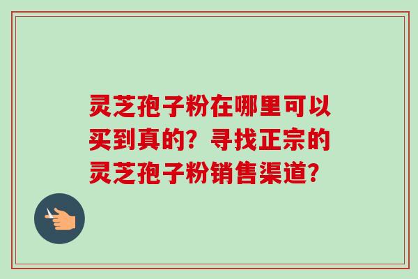 灵芝孢子粉在哪里可以买到真的？寻找正宗的灵芝孢子粉销售渠道？