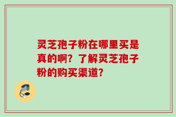 灵芝孢子粉在哪里买是真的啊?了解灵芝孢子粉的购买渠道? 灵芝孢子粉在哪里买是真的啊?了解灵芝孢子粉的购买渠道?