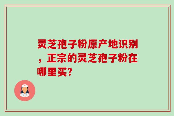 灵芝孢子粉原产地识别，正宗的灵芝孢子粉在哪里买？