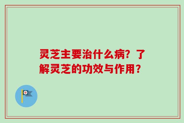 灵芝主要什么?了解灵芝的功效与作用? 灵芝主要什么?了解灵芝的功效与作用?