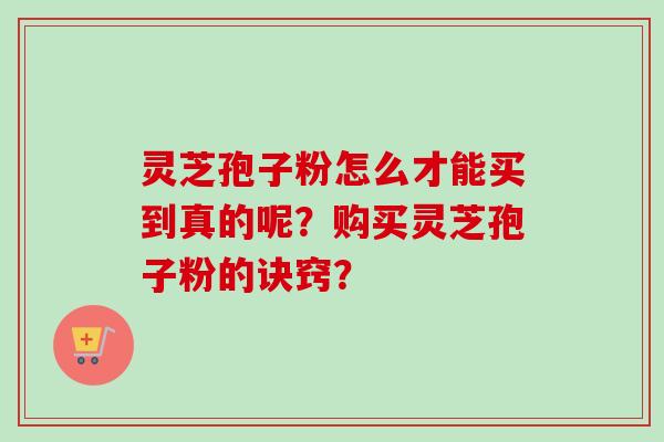 灵芝孢子粉怎么才能买到真的呢？购买灵芝孢子粉的诀窍？
