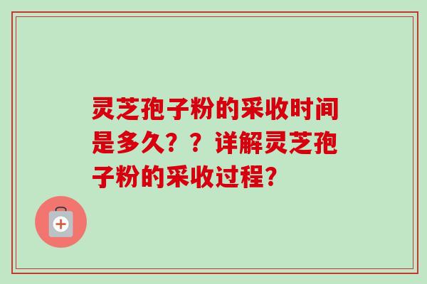 灵芝孢子粉的采收时间是多久？？详解灵芝孢子粉的采收过程？