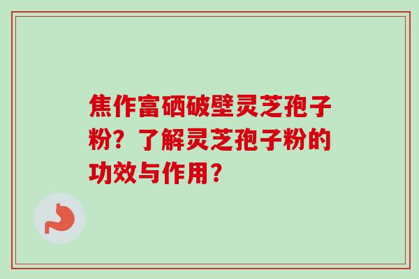 焦作富硒破壁灵芝孢子粉？了解灵芝孢子粉的功效与作用？