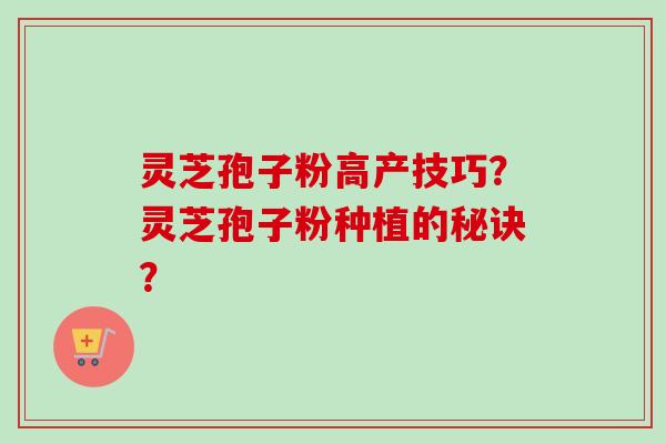 灵芝孢子粉高产技巧？灵芝孢子粉种植的秘诀？