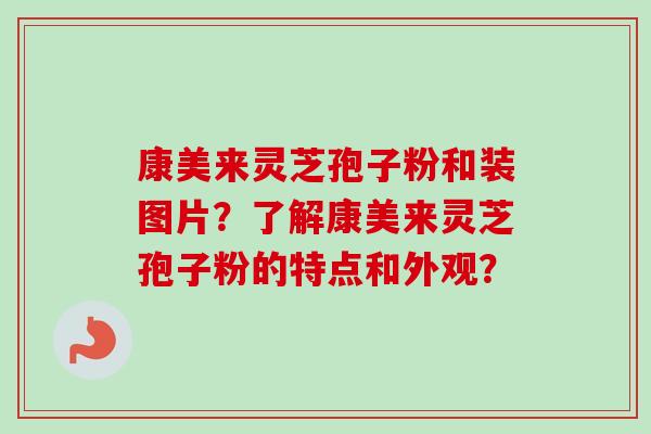 康美来灵芝孢子粉和装图片？了解康美来灵芝孢子粉的特点和外观？