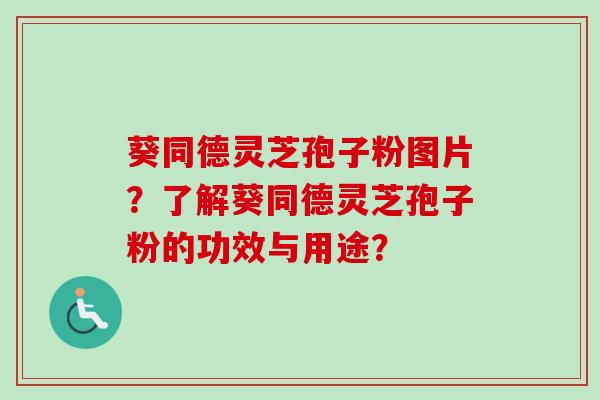 葵同德灵芝孢子粉图片？了解葵同德灵芝孢子粉的功效与用途？