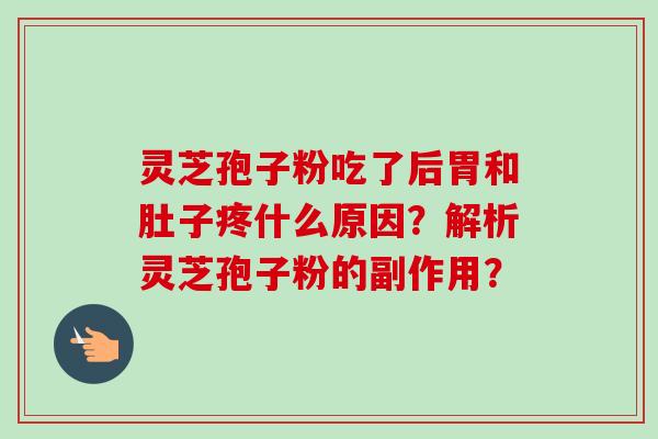 灵芝孢子粉吃了后胃和肚子疼什么原因？解析灵芝孢子粉的副作用？