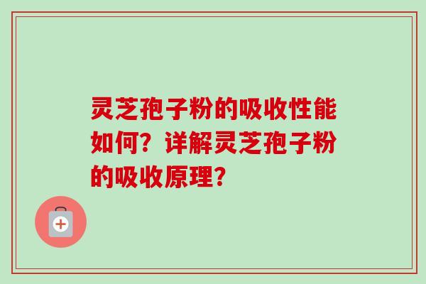 灵芝孢子粉的吸收性能如何？详解灵芝孢子粉的吸收原理？