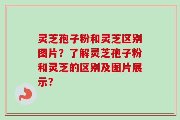 灵芝孢子粉和灵芝区别图片？了解灵芝孢子粉和灵芝的区别及图片展示？