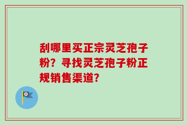 刮哪里买正宗灵芝孢子粉？寻找灵芝孢子粉正规销售渠道？