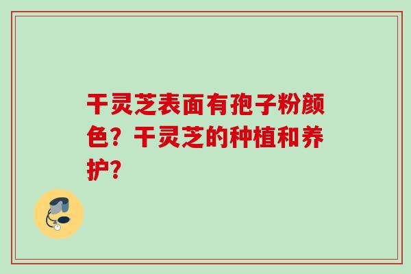 干灵芝表面有孢子粉颜色?干灵芝的种植和养护? 干灵芝表面有孢子粉颜色?干灵芝的种植和养护?