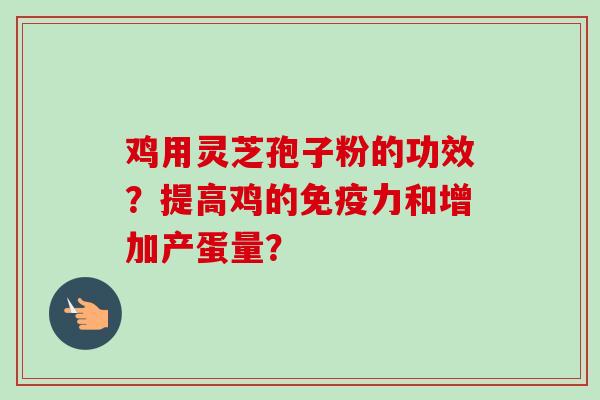 鸡用灵芝孢子粉的功效？提高鸡的免疫力和增加产蛋量？