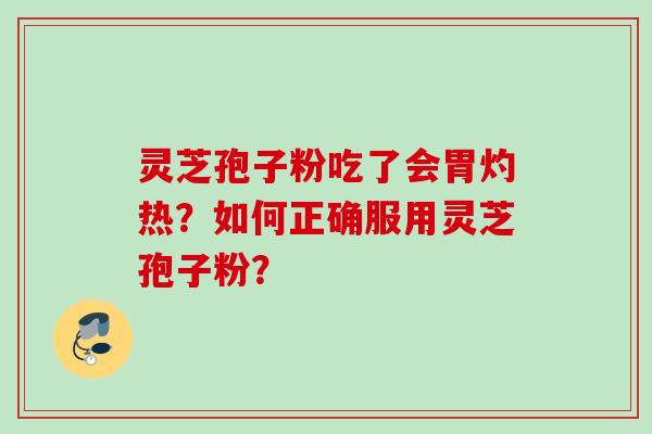 灵芝孢子粉吃了会胃灼热？如何正确服用灵芝孢子粉？