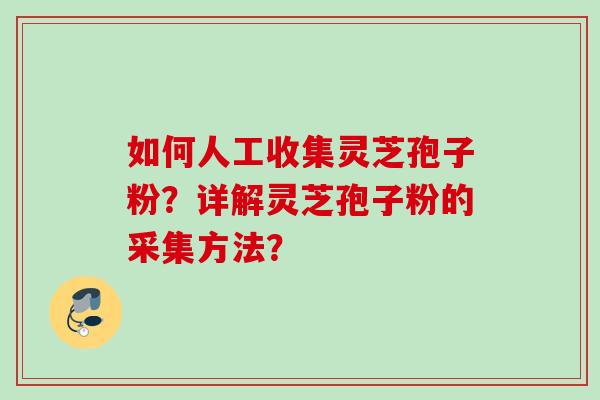 如何人工收集灵芝孢子粉？详解灵芝孢子粉的采集方法？