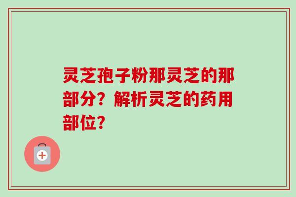 灵芝孢子粉那灵芝的那部分？解析灵芝的药用部位？