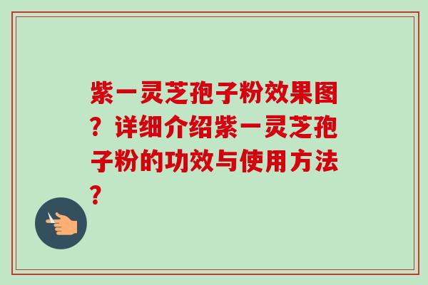 紫一灵芝孢子粉效果图?详细介绍紫一灵芝孢子粉的功效与使用方法? 紫一灵芝孢子粉效果图?详细介绍紫一灵芝孢子粉的功效与使用方法?