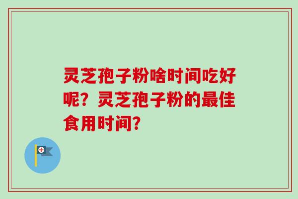 灵芝孢子粉啥时间吃好呢？灵芝孢子粉的佳食用时间？