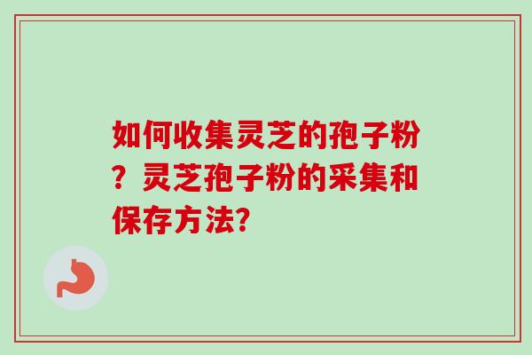 如何收集灵芝的孢子粉?灵芝孢子粉的采集和保存方法? 如何收集灵芝的孢子粉?灵芝孢子粉的采集和保存方法?