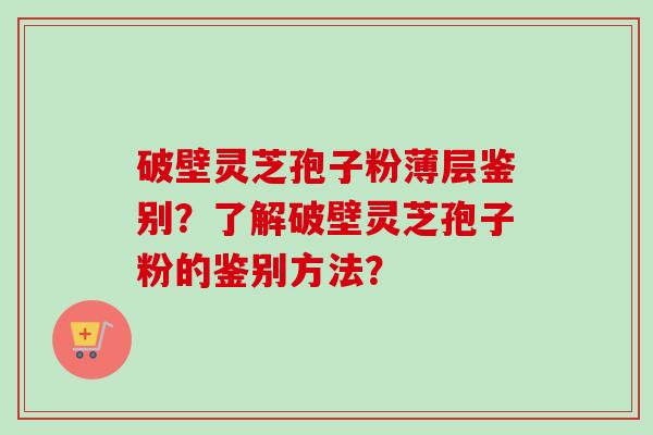 破壁灵芝孢子粉薄层鉴别?了解破壁灵芝孢子粉的鉴别方法? 破壁灵芝孢子粉薄层鉴别?了解破壁灵芝孢子粉的鉴别方法?