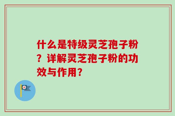 什么是特级灵芝孢子粉？详解灵芝孢子粉的功效与作用？