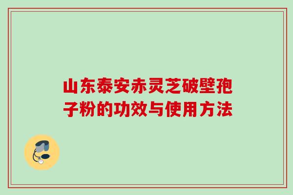 山东泰安赤灵芝破壁孢子粉的功效与使用方法