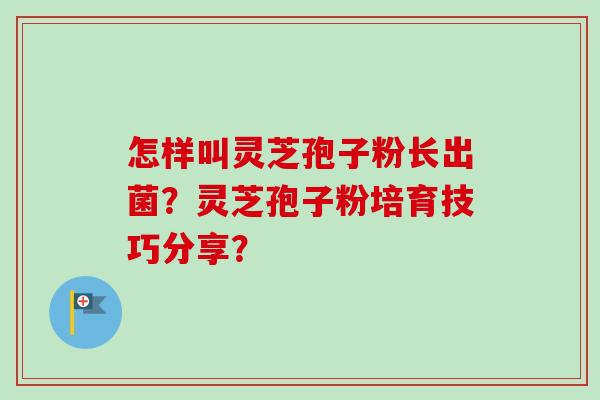 怎样叫灵芝孢子粉长出菌？灵芝孢子粉培育技巧分享？