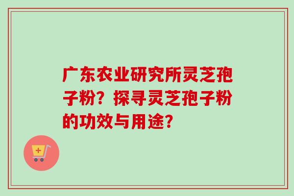 广东农业研究所灵芝孢子粉?探寻灵芝孢子粉的功效与用途? 广东农业研究所灵芝孢子粉?探寻灵芝孢子粉的功效与用途?
