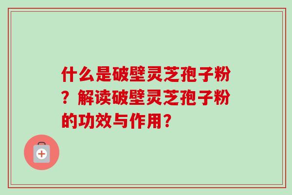 什么是破壁灵芝孢子粉?解读破壁灵芝孢子粉的功效与作用? 什么是破壁灵芝孢子粉?解读破壁灵芝孢子粉的功效与作用?