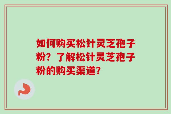 如何购买松针灵芝孢子粉?了解松针灵芝孢子粉的购买渠道? 如何购买松针灵芝孢子粉?了解松针灵芝孢子粉的购买渠道?