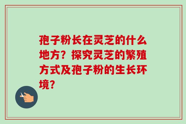 孢子粉长在灵芝的什么地方?探究灵芝的繁殖方式及孢子粉的生长环境? 孢子粉长在灵芝的什么地方?探究灵芝的繁殖方式及孢子粉的生长环境?