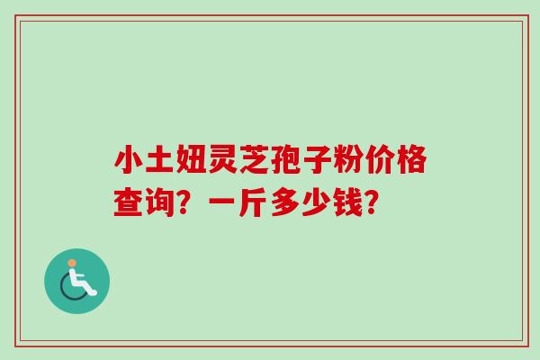小土妞灵芝孢子粉价格查询?一斤多少钱? 小土妞灵芝孢子粉价格查询?一斤多少钱?