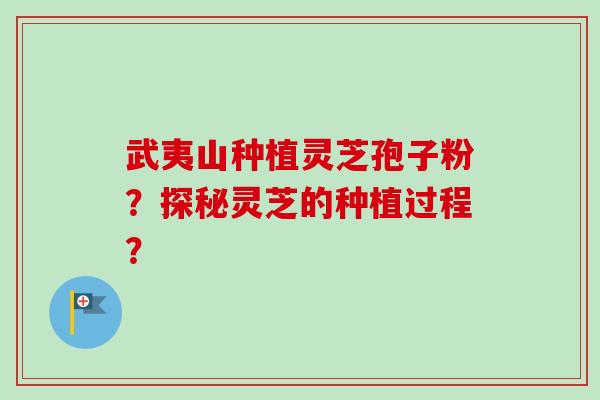 武夷山种植灵芝孢子粉？探秘灵芝的种植过程？